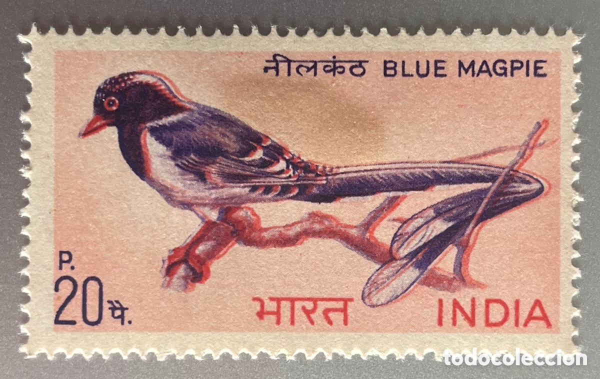 Sellos: India. Aves. P&aacute;jaros. 1968 - Foto 1