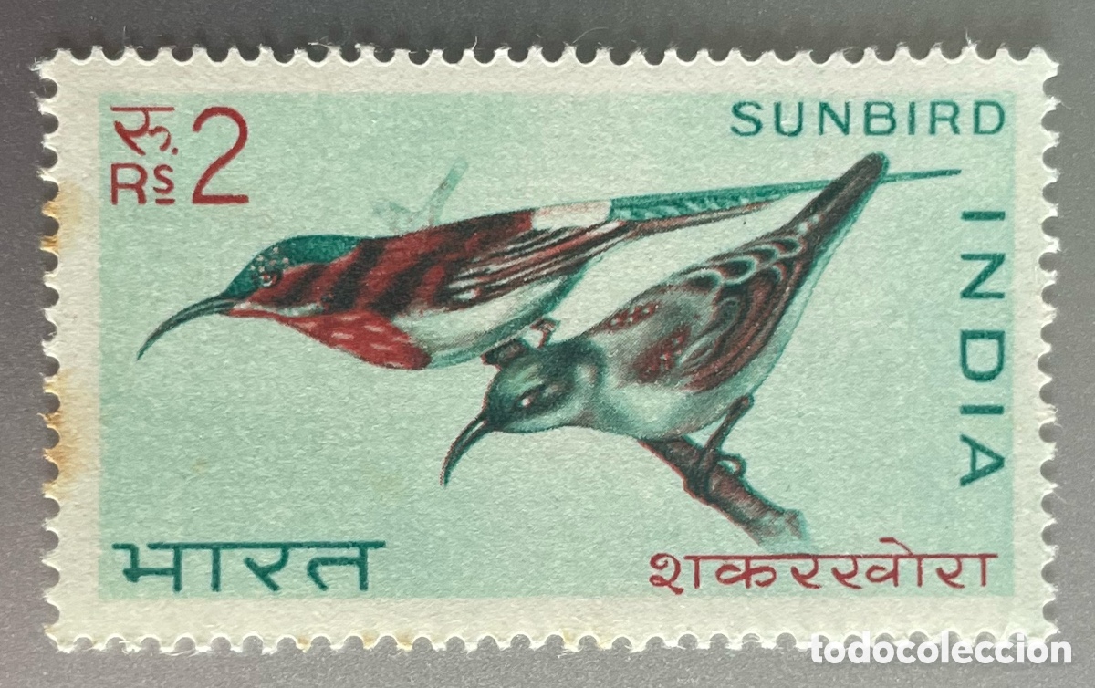 Sellos: India. Aves. P&aacute;jaros. 1968 - Foto 1