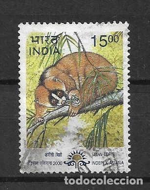 Sellos: loris de India. sello a&ntilde;o 2000 - Foto 1