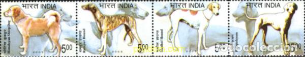 Sellos: 190239 MNH INDIA 2005 PERROS - Foto 1