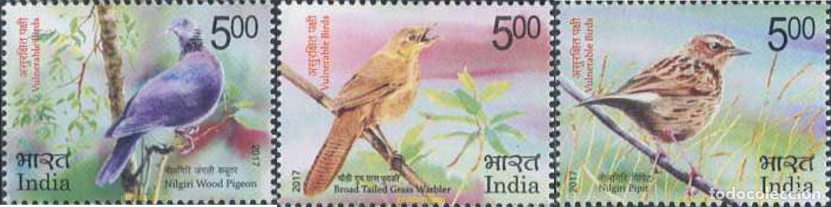 Sellos: 583089 MNH INDIA 2017 AVES - Foto 1