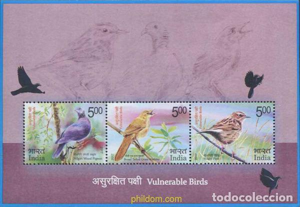 Sellos: 583152 MNH INDIA 2017 AVES - Foto 1