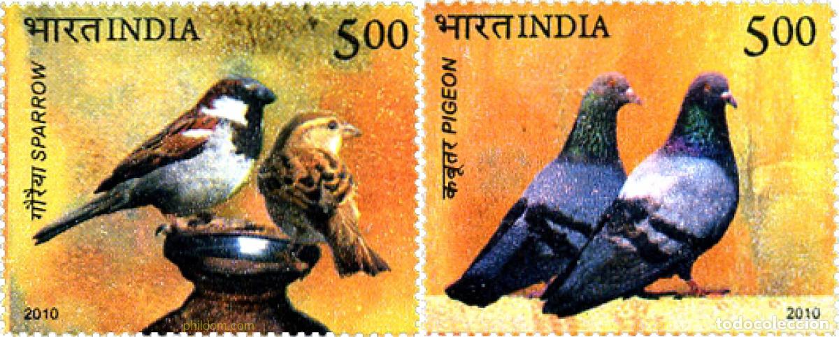 Sellos: 259318 MNH INDIA 2010 - Foto 1
