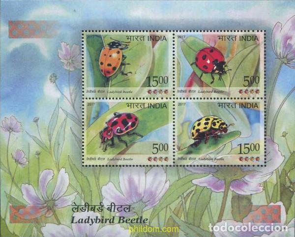 Sellos: 570410 MNH INDIA 2017 MARIETAS - Foto 1