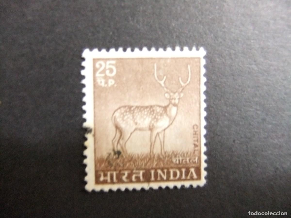 Sellos: 57 INDIA REPUBLICA 1974 / CIERVO / YVERT 402 FU