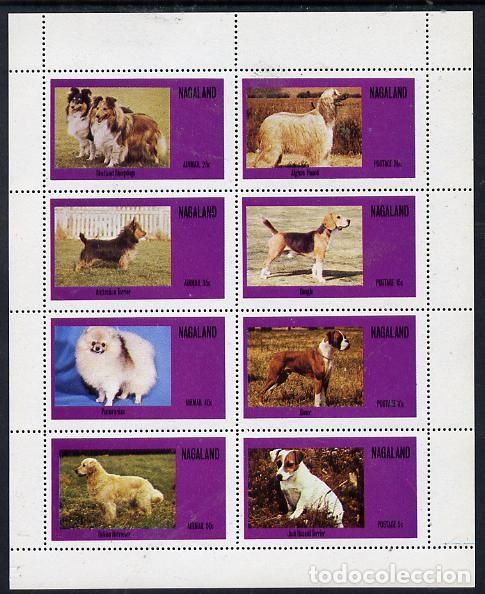 Sellos: NAGALAND 1973 SHEET MNH DOGS CHIENS PERROS HUNDEN CANI CAES