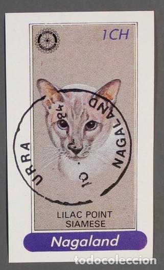 Sellos: NAGALAND 1984 SHEET USED MNH SIAMES LILAC POINT SIAMESE GATOS CATS CHATS KATZEN GATTI