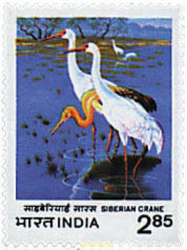 Sellos: 31386 MNH INDIA 1983 FAUNA. GRULLAS