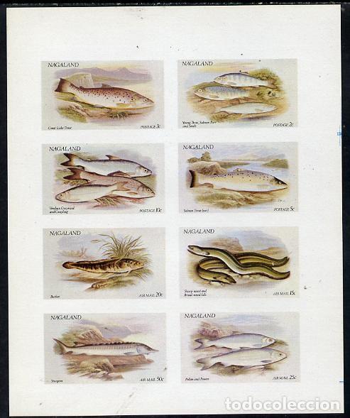 Sellos: NAGALAND 1972 SHEET MNH IMPERF FAUNA MARINA FISHES PECES POISSONS PESCI FISCHEN PEIXES MARINE LIFE