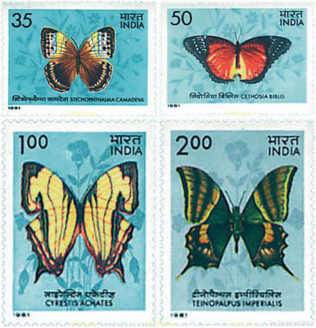 Sellos: 94835 MNH INDIA 1981 MARIPOSAS