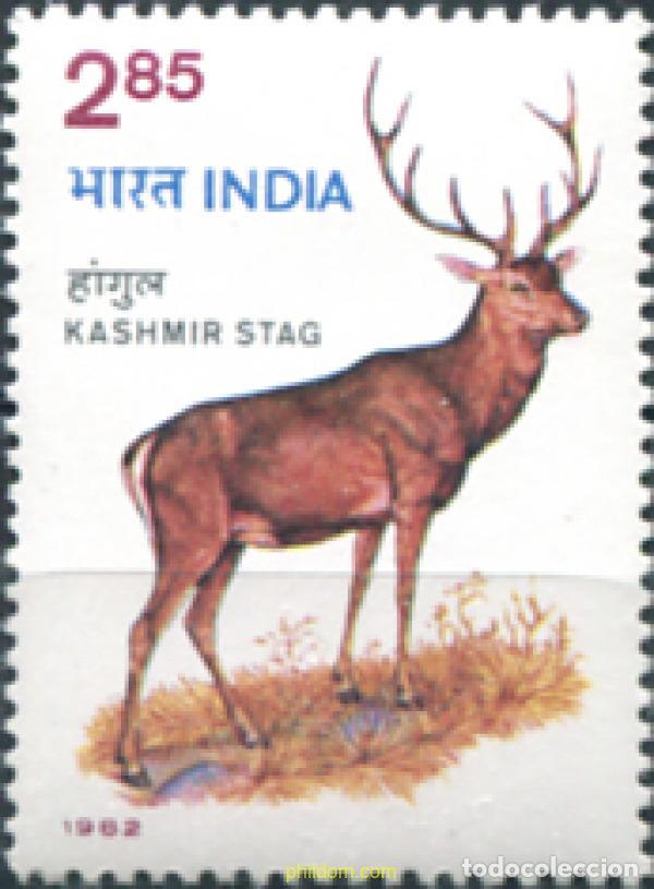 Sellos: 28711 MNH INDIA 1982 CIERVOS