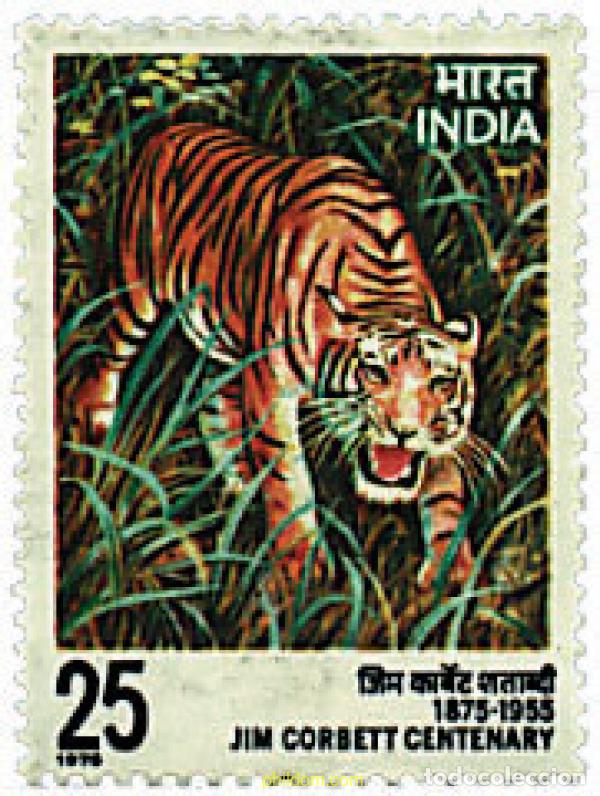 Sellos: 42129 MNH INDIA 1976 TIGRE