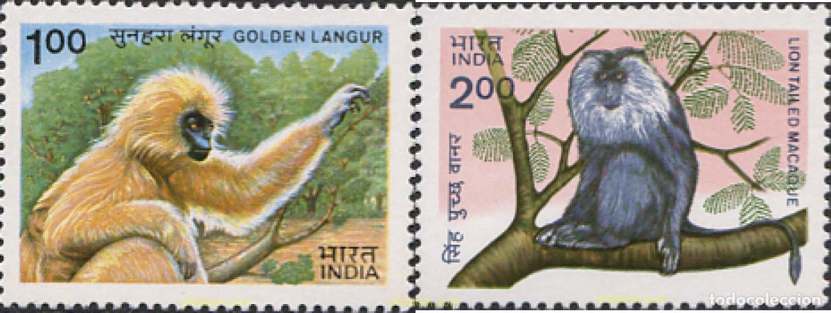 Sellos: 28713 MNH INDIA 1983 MONOS