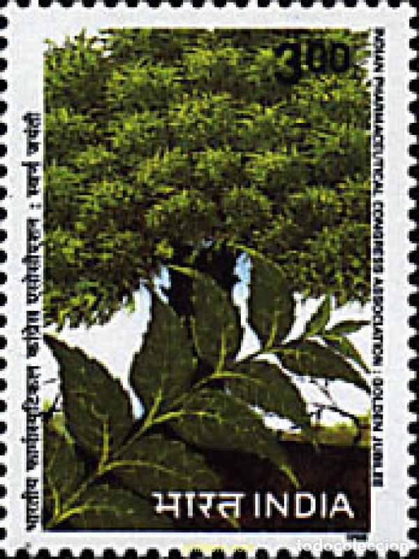 Sellos: 55699 MNH INDIA 1998 50 ANIVERSARIO DE LA ASOCIACION DE CONGRESOS FARMACEUTICOS DE LA INDIA