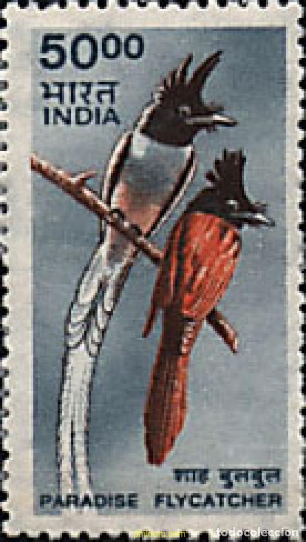 Sellos: 72201 MNH INDIA 2000 PARAISO INDIO