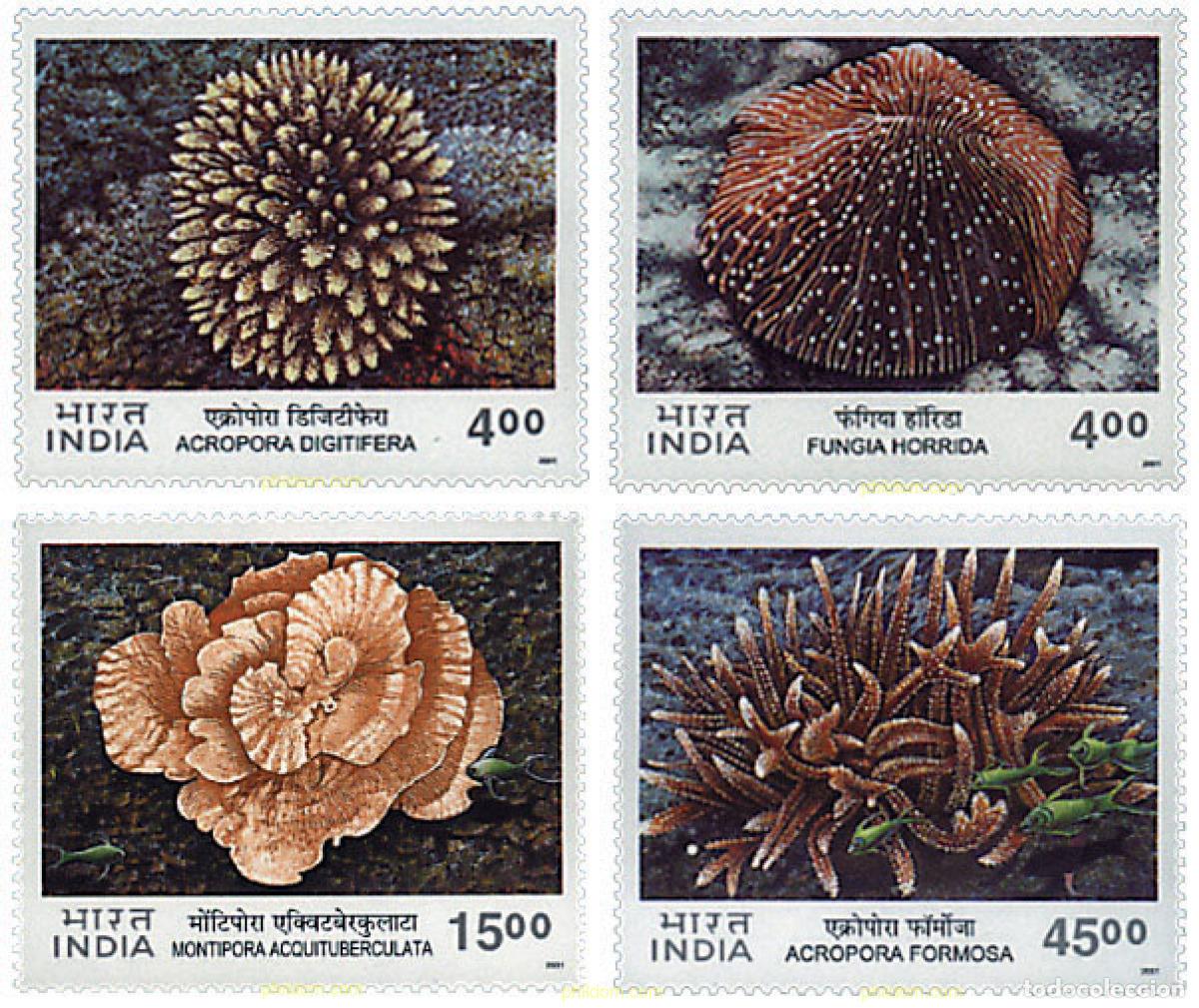 Sellos: 78327 MNH INDIA 2001 CORALES