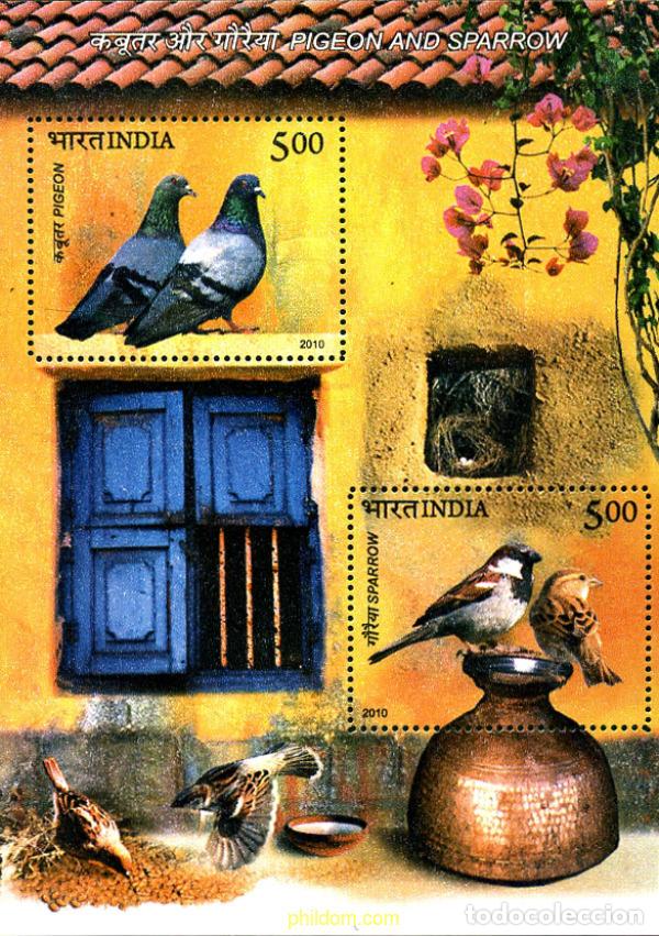 Sellos: 261528 MNH INDIA 2010 P&aacute;JAROS.