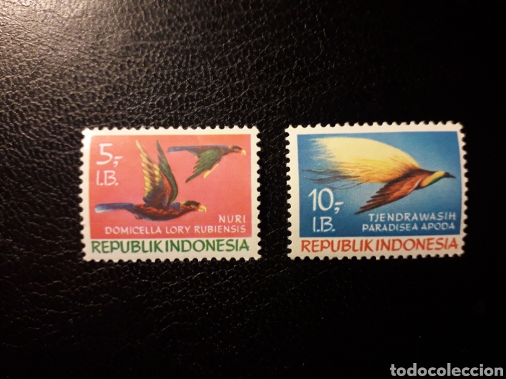 Unduh 74 Gambar Fauna Bagian Barat Keren Gratis