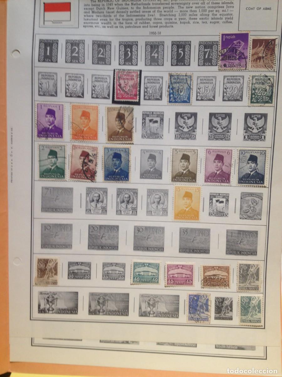 Sellos: COLECCION DE INDONESIA - Foto 1