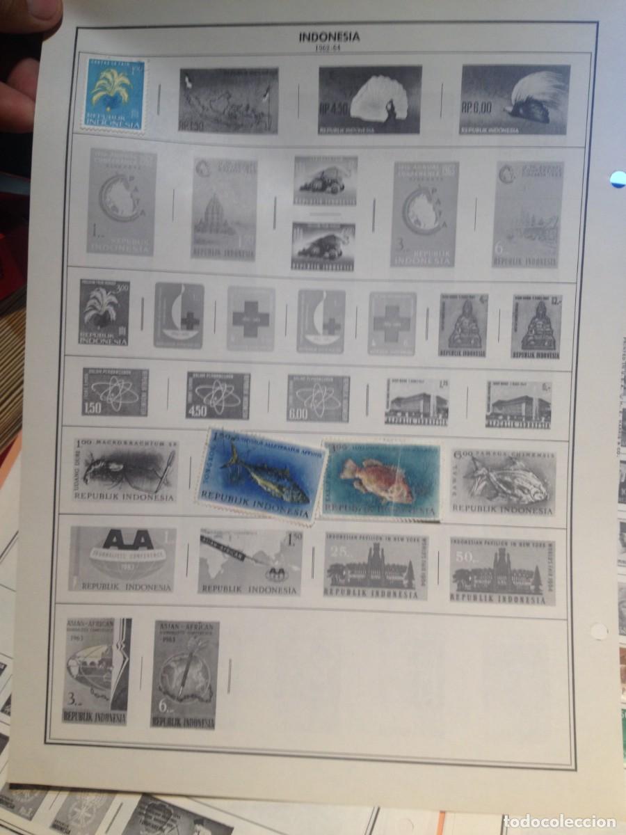 Sellos: COLECCION DE INDONESIA - Foto 10