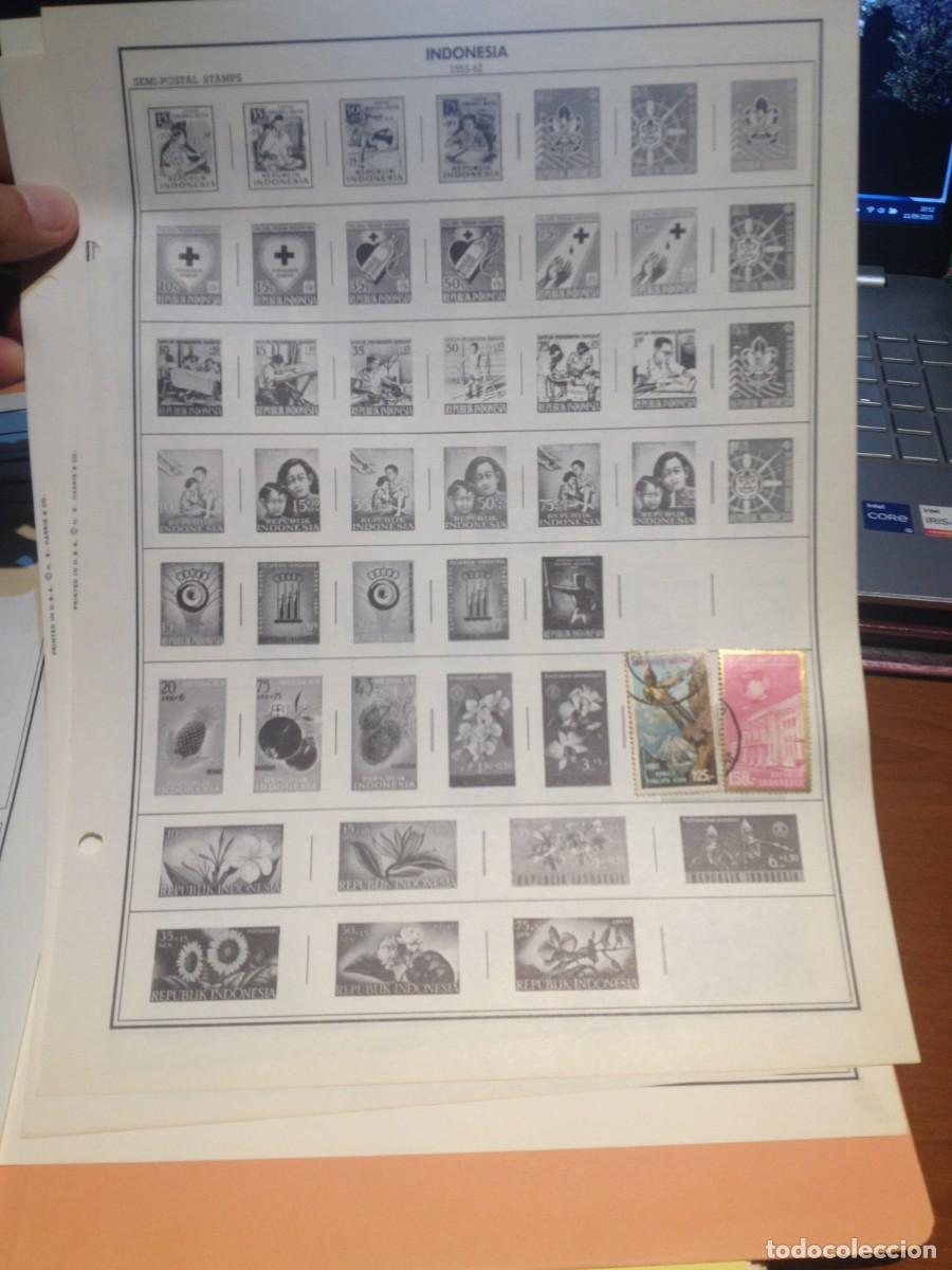 Sellos: COLECCION DE INDONESIA - Foto 13