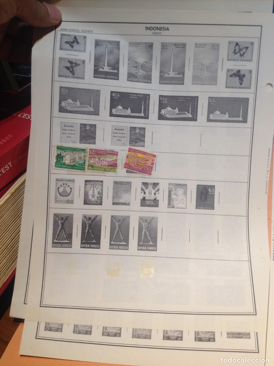 Sellos: COLECCION DE INDONESIA - Foto 14