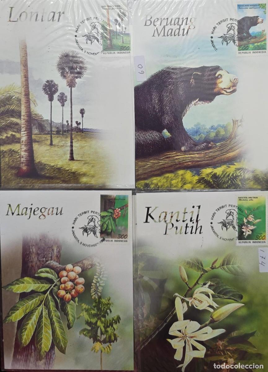 Sellos: O) 1996 INDONESIA, FLORA AND FAUNA, BEAR, FLOWERS, TREE, MAXIMUM CARD