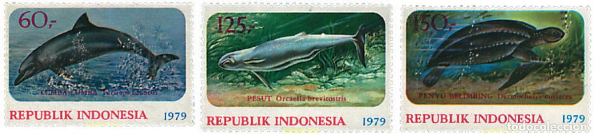 Sellos: 28452 MNH INDONESIA 1979 FAUNA MARINA