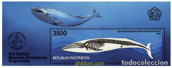 Sellos: 54589 MNH INDONESIA 1994 100 ANIVERSARIO DEL MUSEO ZOOLOGICO DE BOGOR
