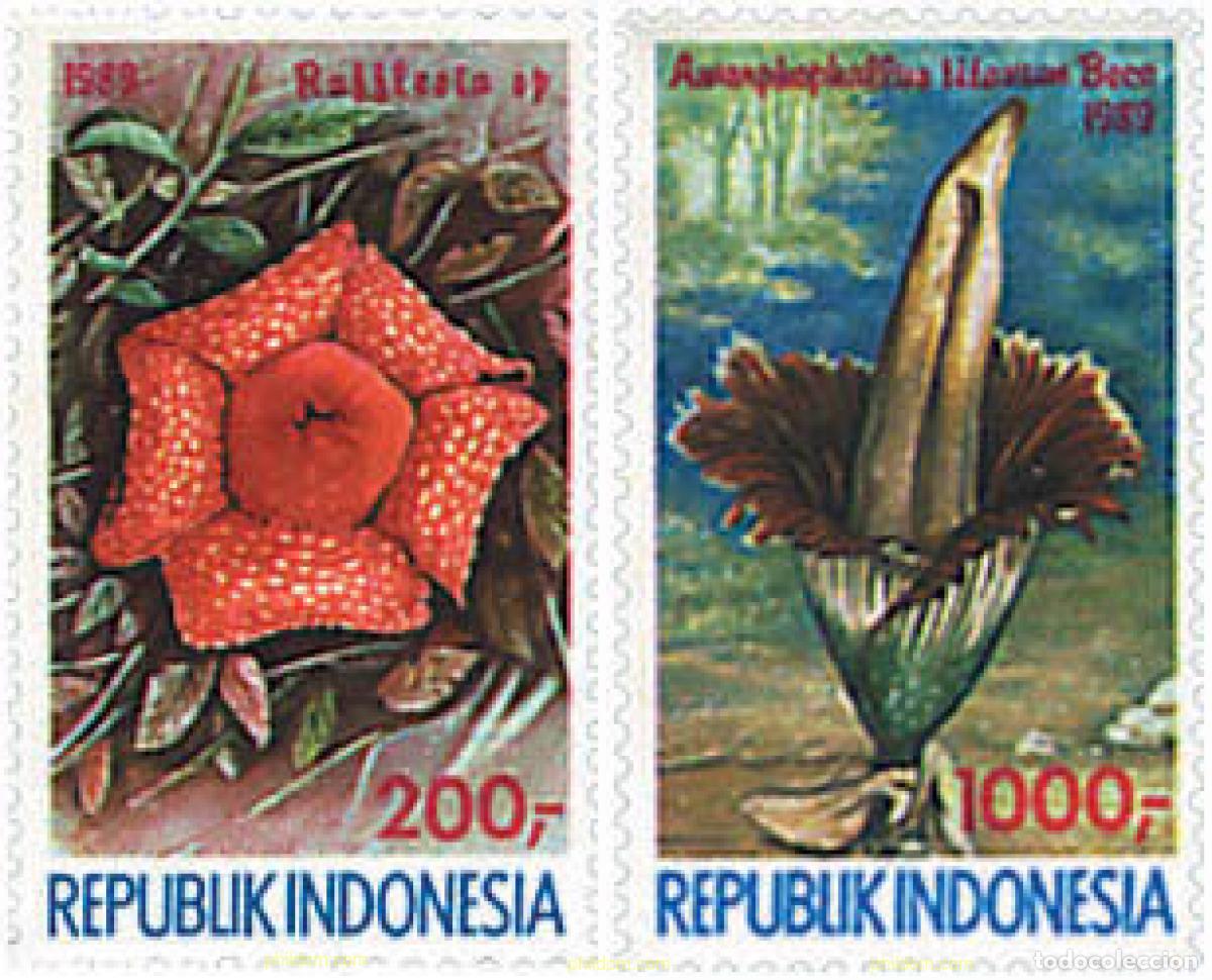 Sellos: 89811 MNH INDONESIA 1989 FLORA 89