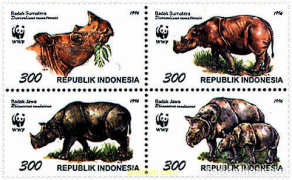 Sellos: 5287 MNH INDONESIA 1996 RINOCERONTES DE SUMATRA Y DE JAVA