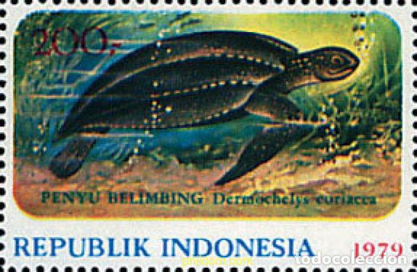 Sellos: 150907 MNH INDONESIA 1979 FAUNA MARINA
