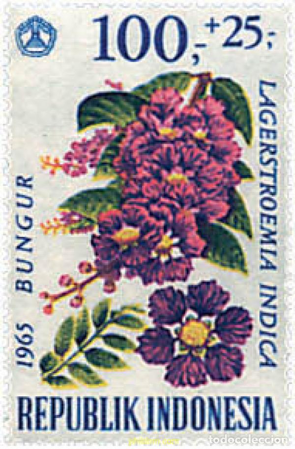 Sellos: 617081 MNH INDONESIA 1965 PRO BENEFICENCIA