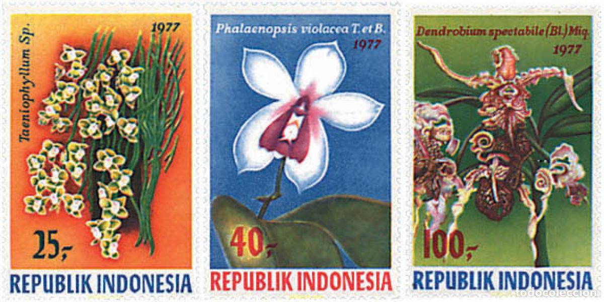 Sellos: 89841 MNH INDONESIA 1977 ORQUIDEAS
