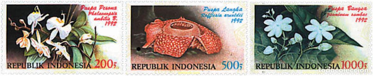 Sellos: 89814 MNH INDONESIA 1992 FLORA 92