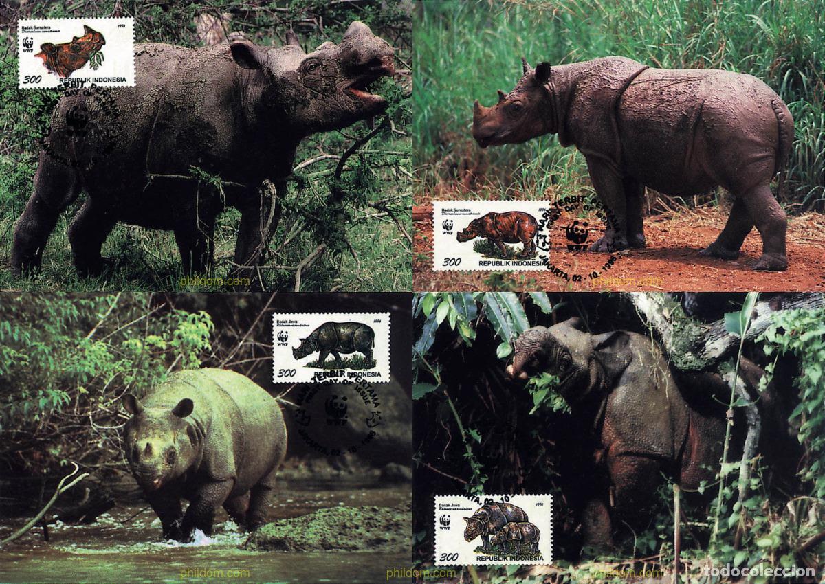 Sellos: 7478 MNH INDONESIA 1996 RINOCERONTES DE SUMATRA Y DE JAVA