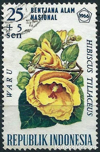 Sellos: Indonesia 1966 - Mi 537 - YT 473 - Flores : Hibiscus