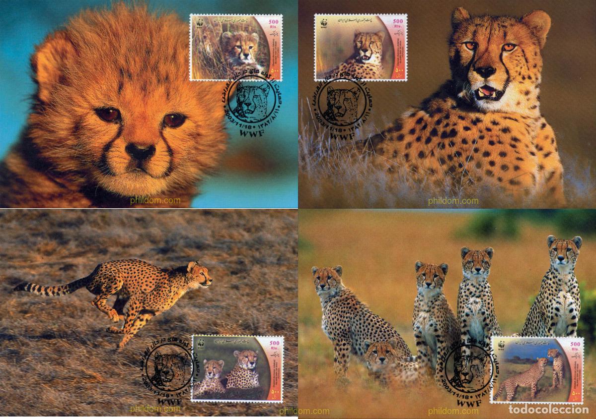 Sellos: 127603 MNH IRAN 2003 PROTECCION DE LA NATURALEZA. LEOPARDOS