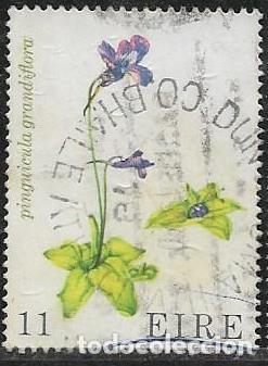 Sellos: IRLANDA YVERT 380, FLORA - Foto 1