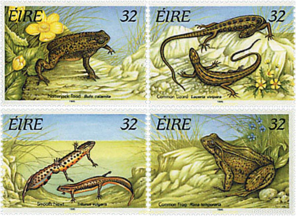 Sellos: 66787 MNH IRLANDA 1995 REPTILES Y BATRACIOS