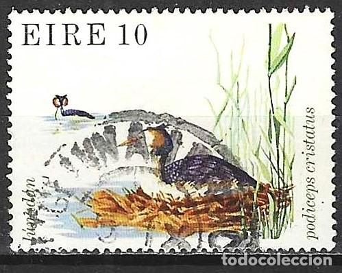 Sellos: Irlanda 1979 - Mi 398 - YT 401 - Ave : Zampull&iacute;n cuellirrojo