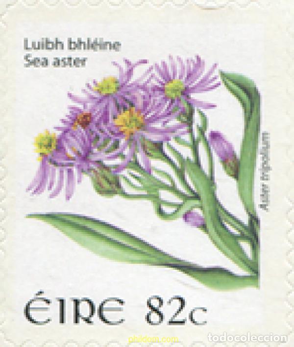 Sellos: 327466 MNH IRLANDA 2008 FLORES SALVAJES