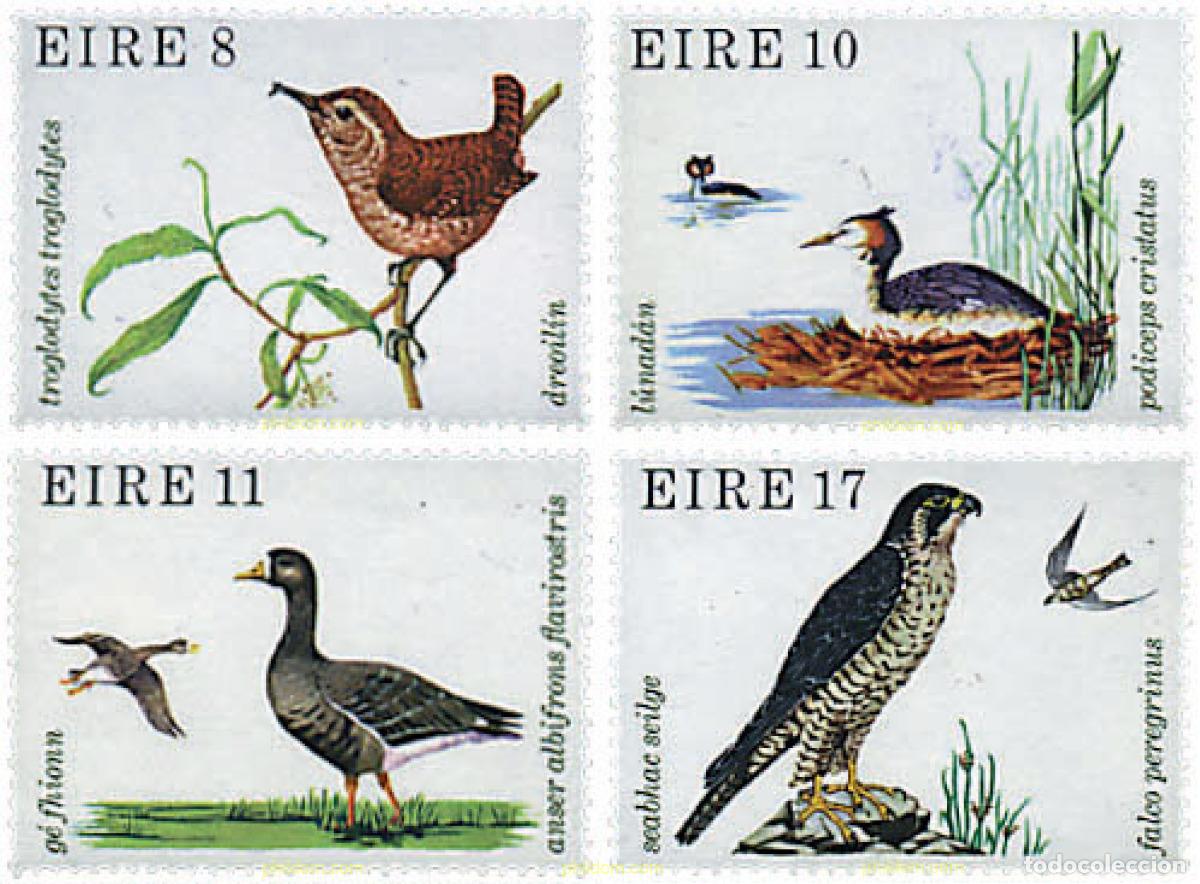 Sellos: 66693 MNH IRLANDA 1979 AVES