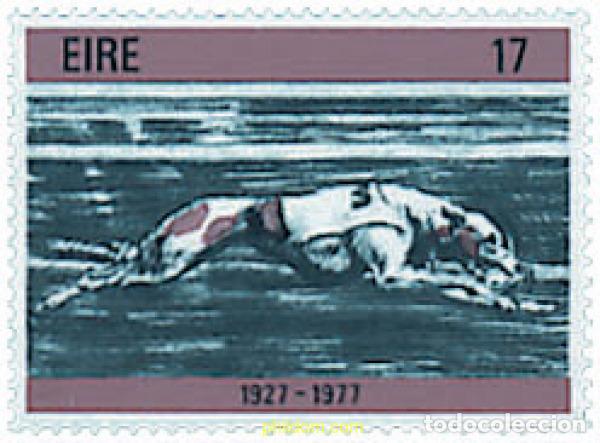 Sellos: 66687 MNH IRLANDA 1977 50 ANIVERSARIO DE LAS CARRERAS DE GALGOS