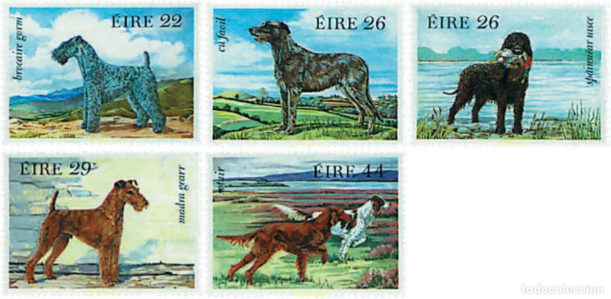 Sellos: 66708 MNH IRLANDA 1983 PERROS IRLANDESES