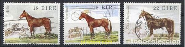 Sellos: 209276 USED IRLANDA 1981 CABALLOS IRLANDESES
