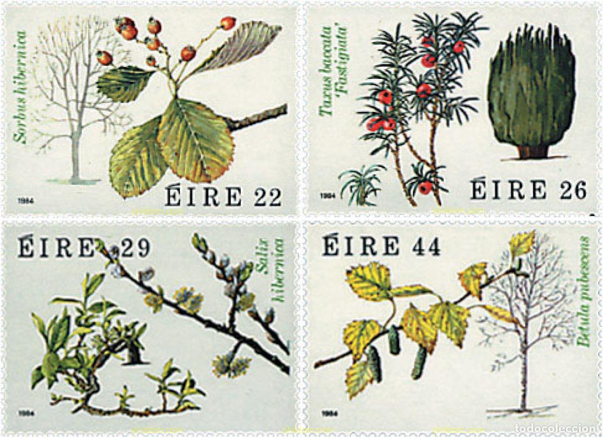 Sellos: 66722 MNH IRLANDA 1984 ARBOLES