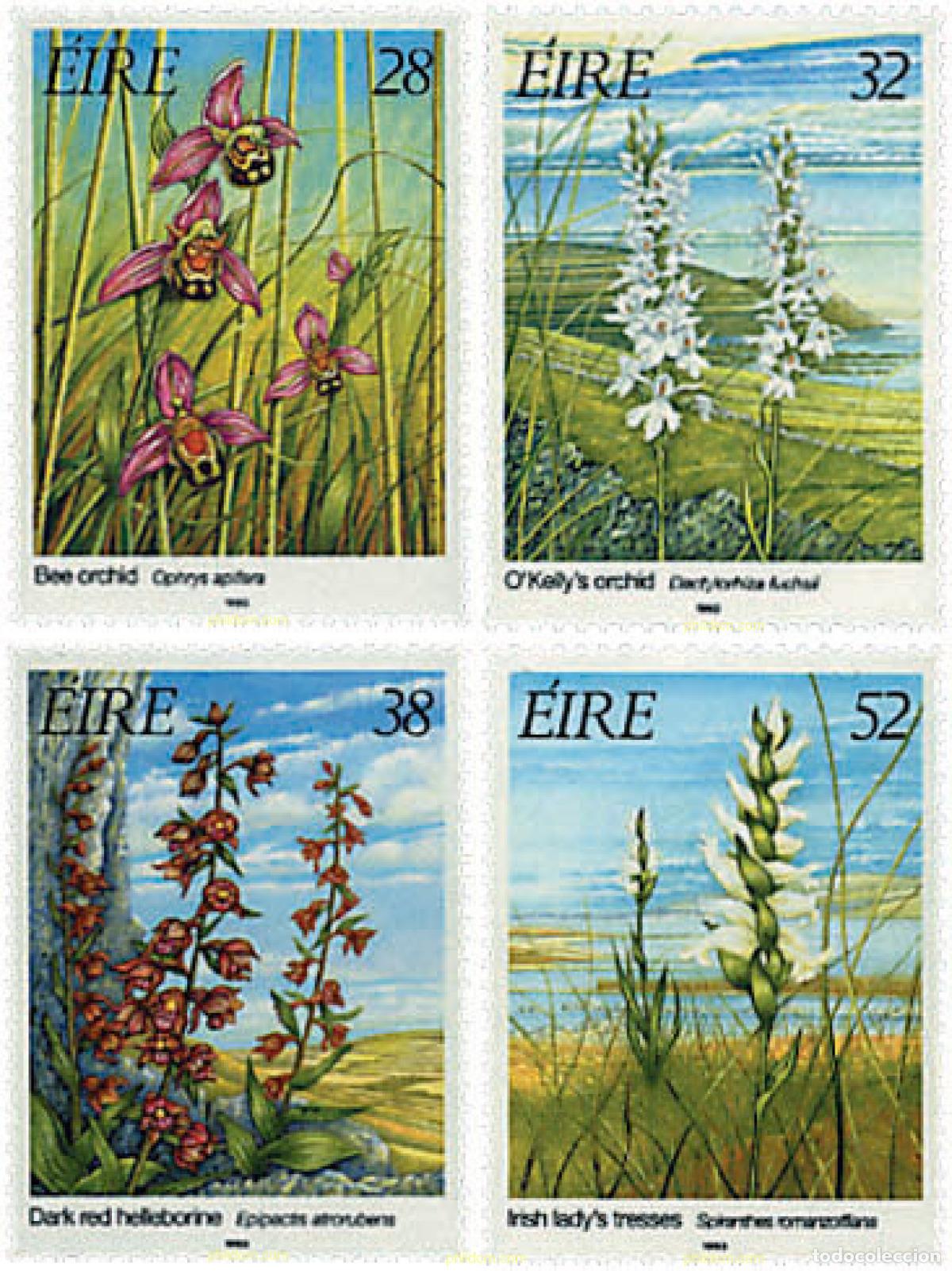 Sellos: 90693 MNH IRLANDA 1993 ORQUIDEAS DE IRLANDA