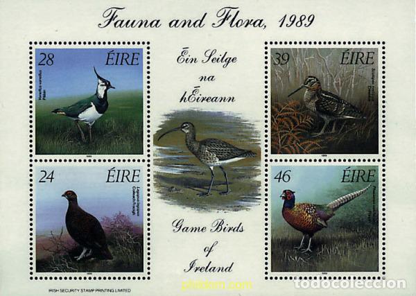 Sellos: 66740 MNH IRLANDA 1989 AVES