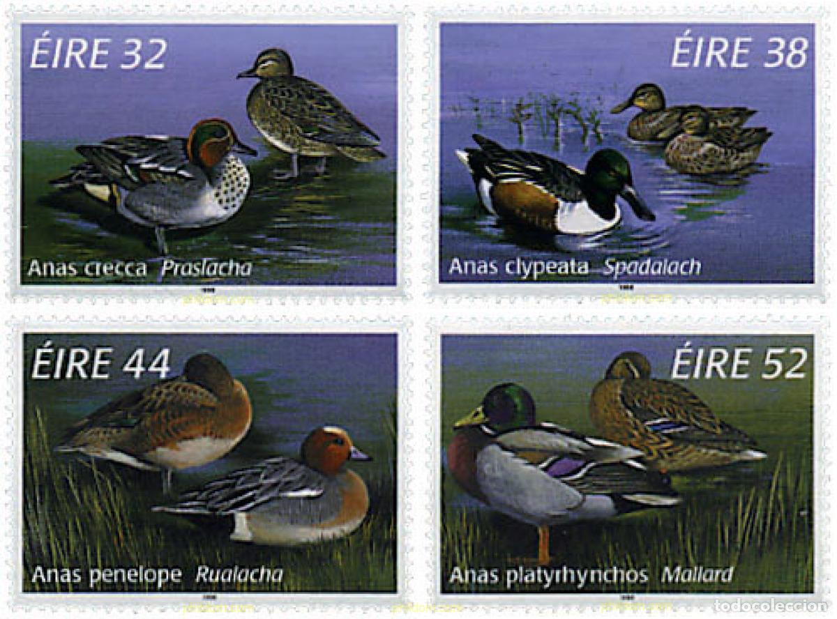 Sellos: 66797 MNH IRLANDA 1996 PATOS